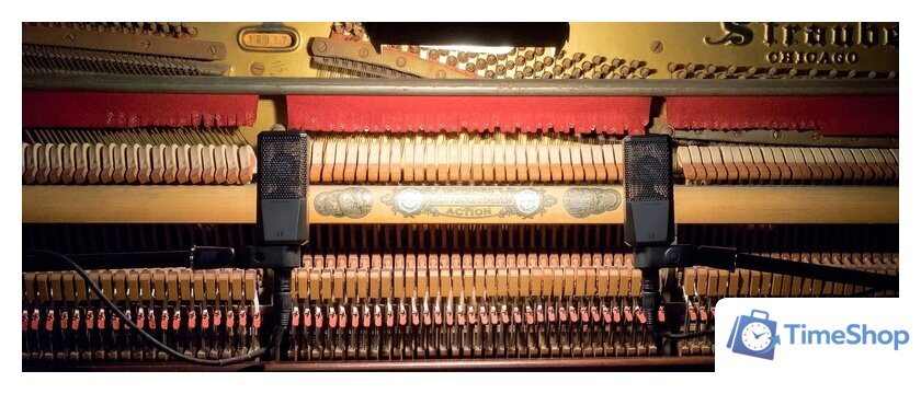 Проводной микрофон Lewitt LCT 240 PRO (черный) - Изображение №14 — Интернет-магазин Time-Shop