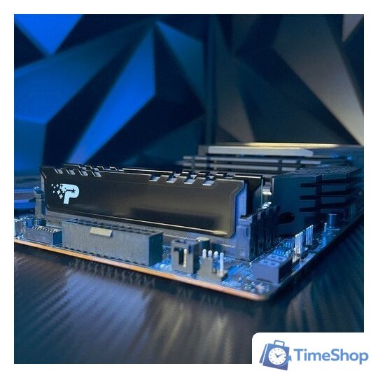 Оперативная память Patriot Signature Premium Line 16ГБ DDR5 5600 МГц PSP516G56002H1 - Изображение №4 — Интернет-магазин Time-Shop