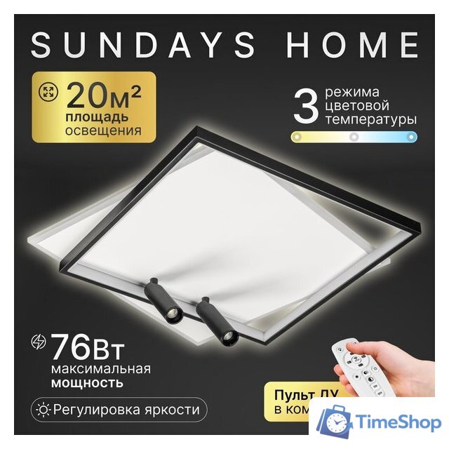 Подвесная люстра Sundays Home R-33 6266 - Изображение №1 — Интернет-магазин Time-Shop