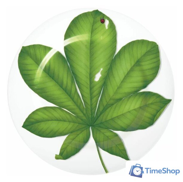 Блюдо Taitu Freedom Leaf 1-86-D - Изображение №1 — Интернет-магазин Time-Shop