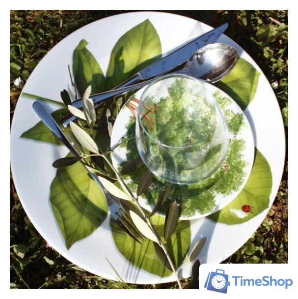 Блюдо Taitu Freedom Leaf 1-86-D - Изображение №7 — Интернет-магазин Time-Shop