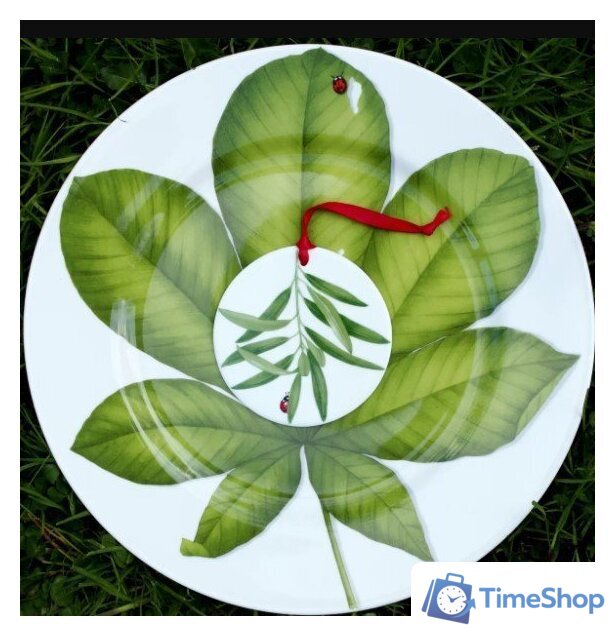Блюдо Taitu Freedom Leaf 1-86-D - Изображение №3 — Интернет-магазин Time-Shop