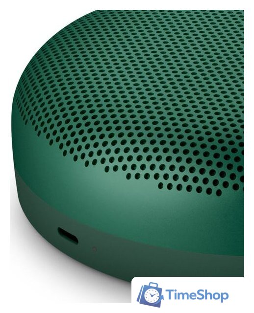 Беспроводная колонка Bang & Olufsen Beosound A1 2nd Gen (зеленый) - Изображение №6 — Интернет-магазин Time-Shop