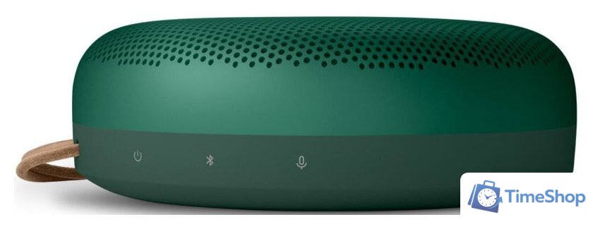 Беспроводная колонка Bang & Olufsen Beosound A1 2nd Gen (зеленый) - Изображение №5 — Интернет-магазин Time-Shop