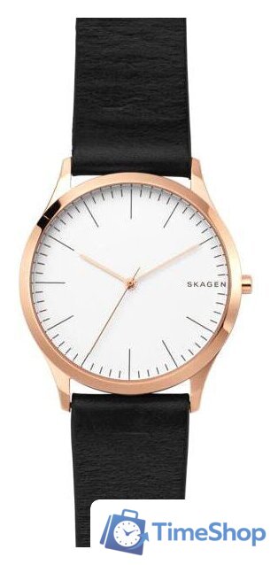 Наручные часы Skagen SKW1102 - Изображение №1 — Интернет-магазин Time-Shop