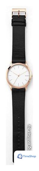 Наручные часы Skagen SKW1102 - Изображение №3 — Интернет-магазин Time-Shop