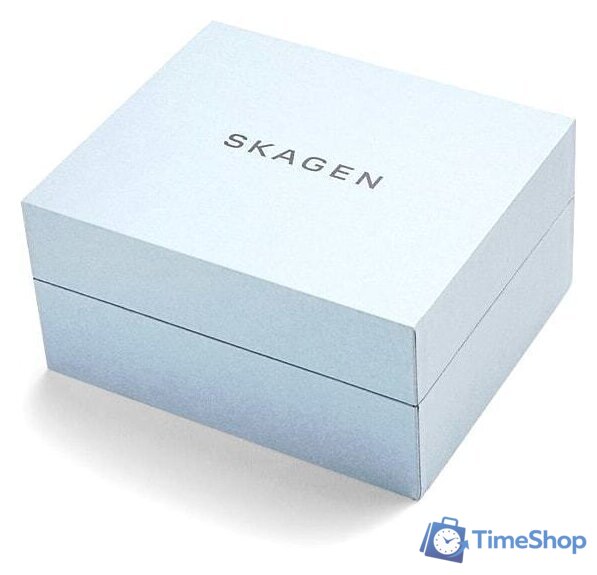 Наручные часы Skagen SKW1102 - Изображение №4 — Интернет-магазин Time-Shop
