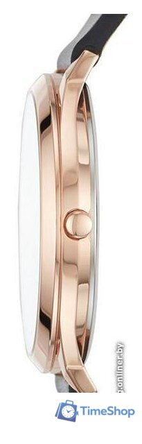 Наручные часы Skagen SKW1102 - Изображение №2 — Интернет-магазин Time-Shop