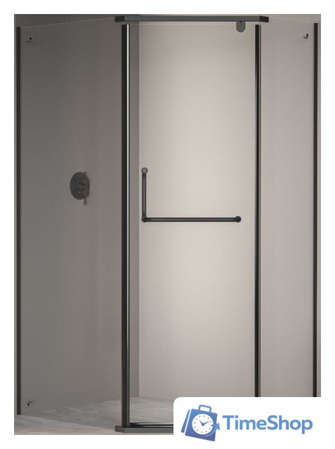 Душевой уголок RGW PA-091-B 35089102-14 120x100 (черный/прозрачное стекло) - Изображение №1 — Интернет-магазин Time-Shop