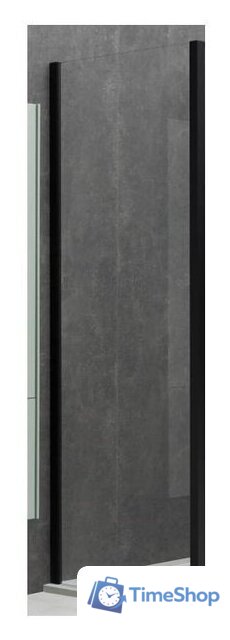 Душевая стенка Allen Brau Priority 3.31048.BBA 99x200 294077 (черный браш) - Изображение №2 — Интернет-магазин Time-Shop