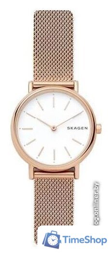Наручные часы Skagen SKW2694 - Изображение №1 — Интернет-магазин Time-Shop