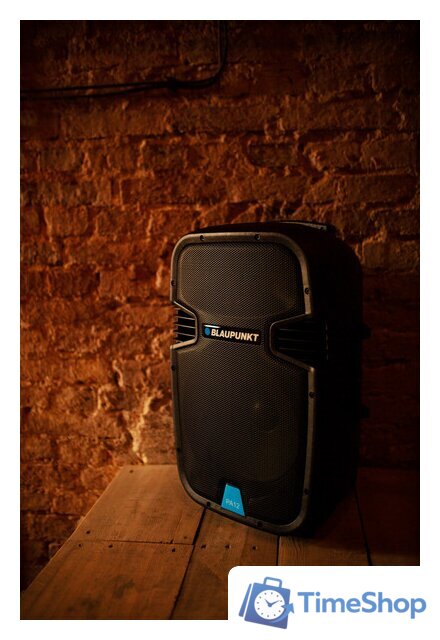 Патибокс Blaupunkt PA12 - Изображение №4 — Интернет-магазин Time-Shop