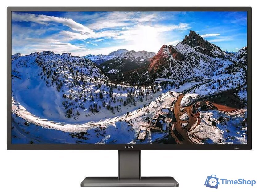 Монитор Philips 439P1/00 - Изображение №1 — Интернет-магазин Time-Shop