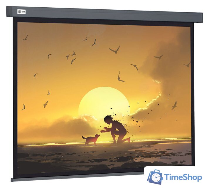 Проекционный экран CACTUS Wallscreen 124x221 CS-PSW-124X221-SG - Изображение №1 — Интернет-магазин Time-Shop