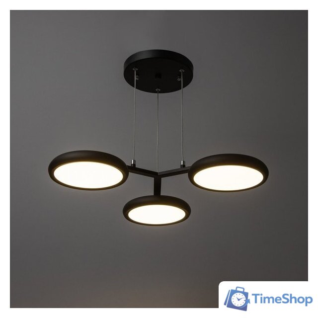 Подвесная люстра BayerLux Алис 10059024 (черный) - Изображение №2 — Интернет-магазин Time-Shop