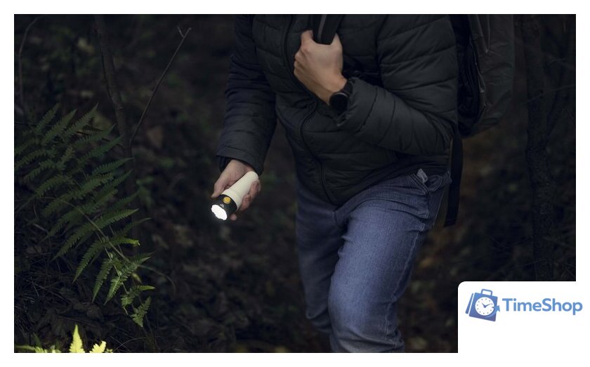 Фонарь Armytek Bear WRG - Изображение №10 — Интернет-магазин Time-Shop