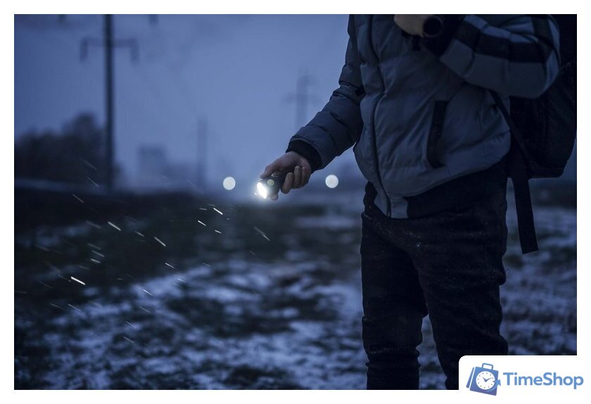 Фонарь Armytek Bear WRG - Изображение №6 — Интернет-магазин Time-Shop