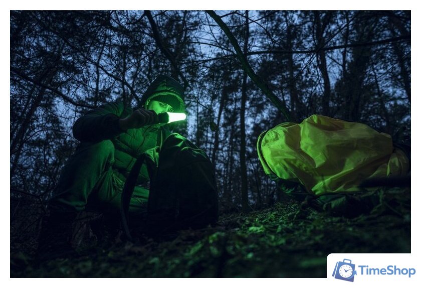 Фонарь Armytek Bear WRG - Изображение №11 — Интернет-магазин Time-Shop