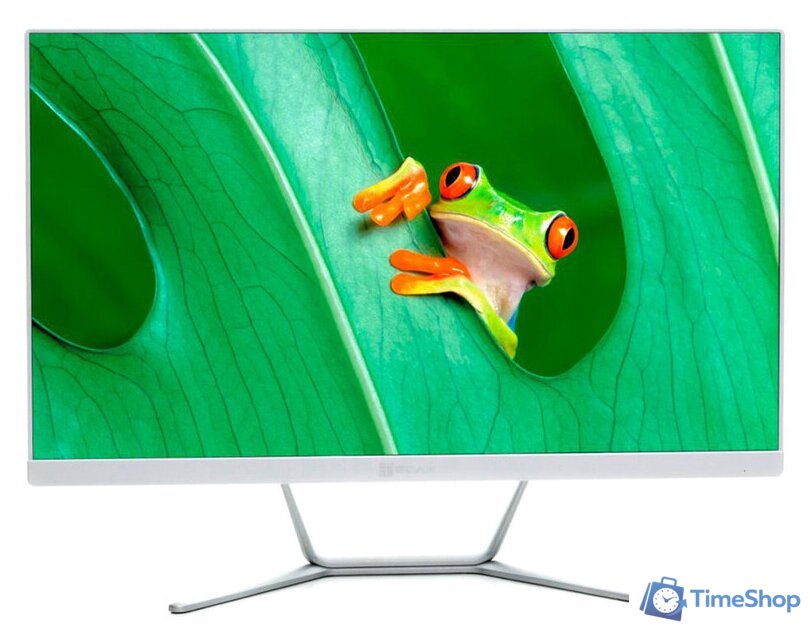 Моноблок ТЕСЛА Z24W 2416500 - Изображение №1 — Интернет-магазин Time-Shop