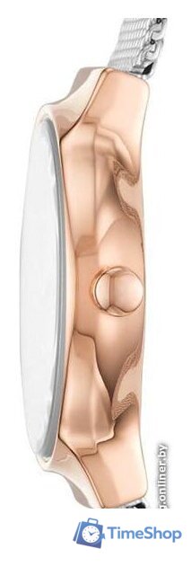 Наручные часы с украшением Skagen SKW1101 - Изображение №2 — Интернет-магазин Time-Shop