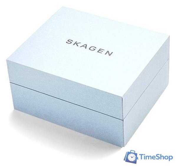 Наручные часы с украшением Skagen SKW1101 - Изображение №4 — Интернет-магазин Time-Shop