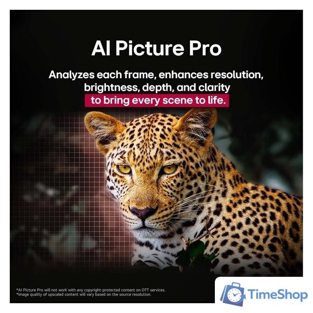 OLED телевизор LG OLED AI B5 OLED55B5RLA - Изображение №8 — Интернет-магазин Time-Shop