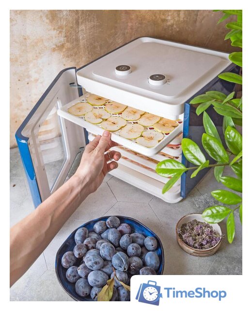 Сушилка для овощей и фруктов StarWind SFD6431 - Изображение №19 — Интернет-магазин Time-Shop