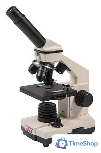 Детский микроскоп Микромед Эврика 40х-1280х с видеоокуляром в кейсе 22670 - Изображение №1 — Интернет-магазин Time-Shop