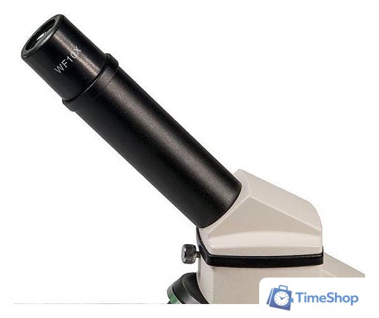 Детский микроскоп Микромед Эврика 40х-1280х с видеоокуляром в кейсе 22670 - Изображение №11 — Интернет-магазин Time-Shop