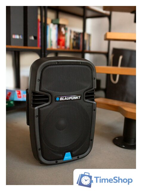 Патибокс Blaupunkt PA10 - Изображение №4 — Интернет-магазин Time-Shop