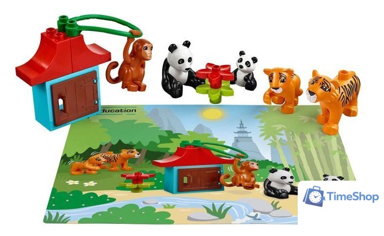 Набор деталей LEGO Education 45029 Животные - Изображение №4 — Интернет-магазин Time-Shop