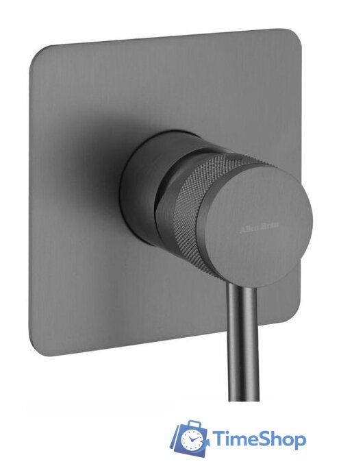 Смеситель Allen Brau Priority 5.31012-MG - Изображение №1 — Интернет-магазин Time-Shop