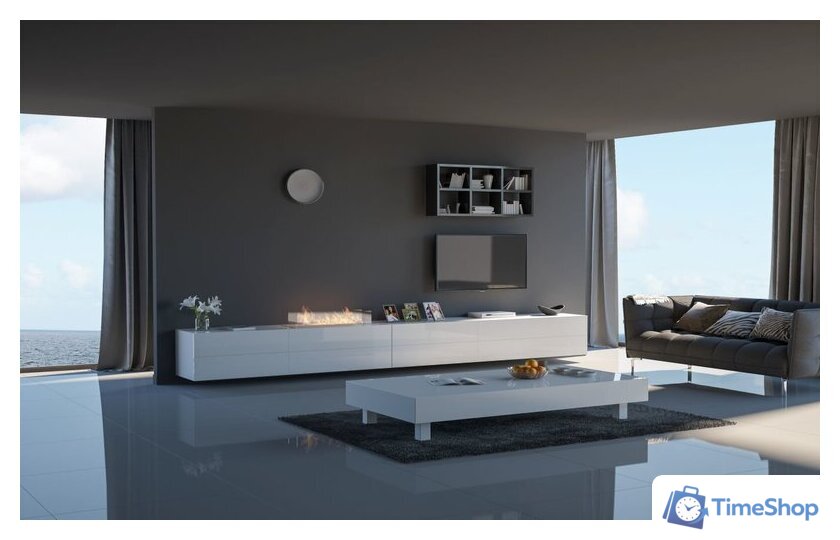 Биокамин Infire Insert 1000 - Изображение №3 — Интернет-магазин Time-Shop