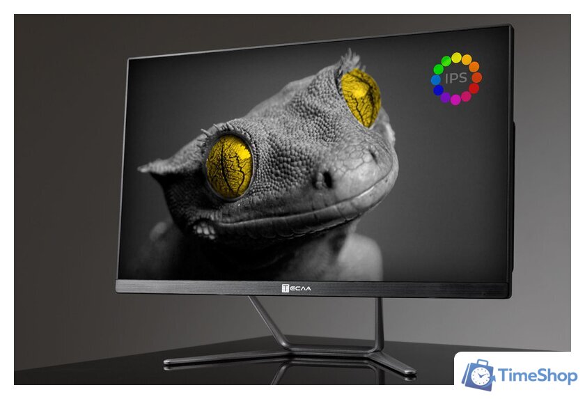 Моноблок ТЕСЛА Z24B 2416500 - Изображение №1 — Интернет-магазин Time-Shop