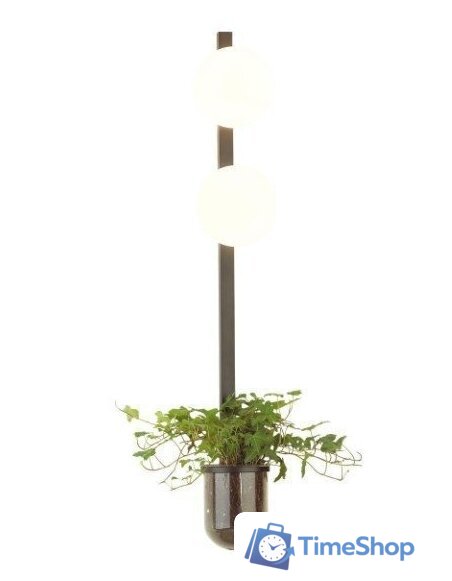 Бра Odeon Light Flower 4681/2WA - Изображение №1 — Интернет-магазин Time-Shop