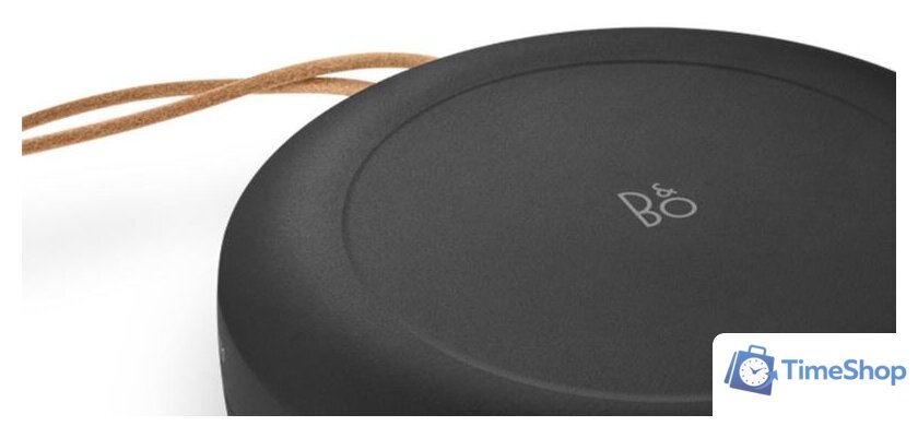 Беспроводная колонка Bang & Olufsen Beosound A1 2nd Gen (черный антрацит) - Изображение №8 — Интернет-магазин Time-Shop