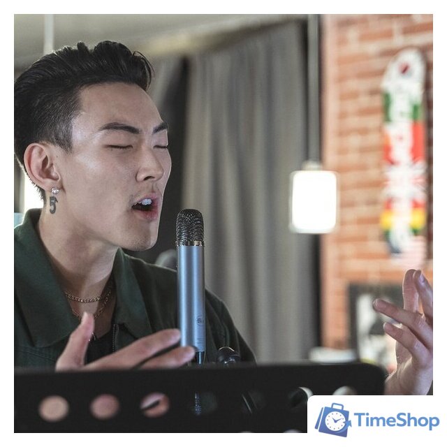 Проводной микрофон Blue Ember - Изображение №8 — Интернет-магазин Time-Shop