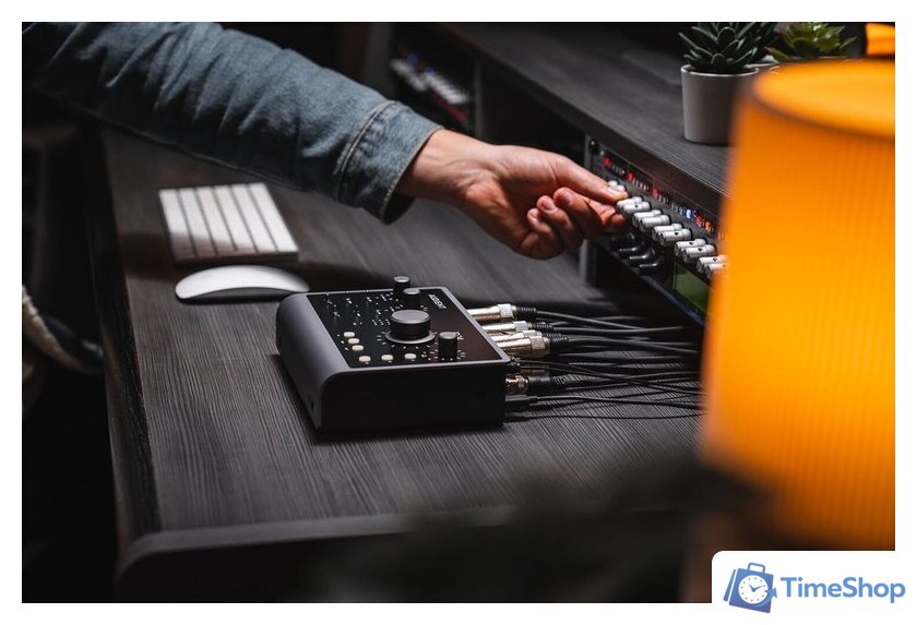 Аудиоинтерфейс Audient iD24 - Изображение №9 — Интернет-магазин Time-Shop