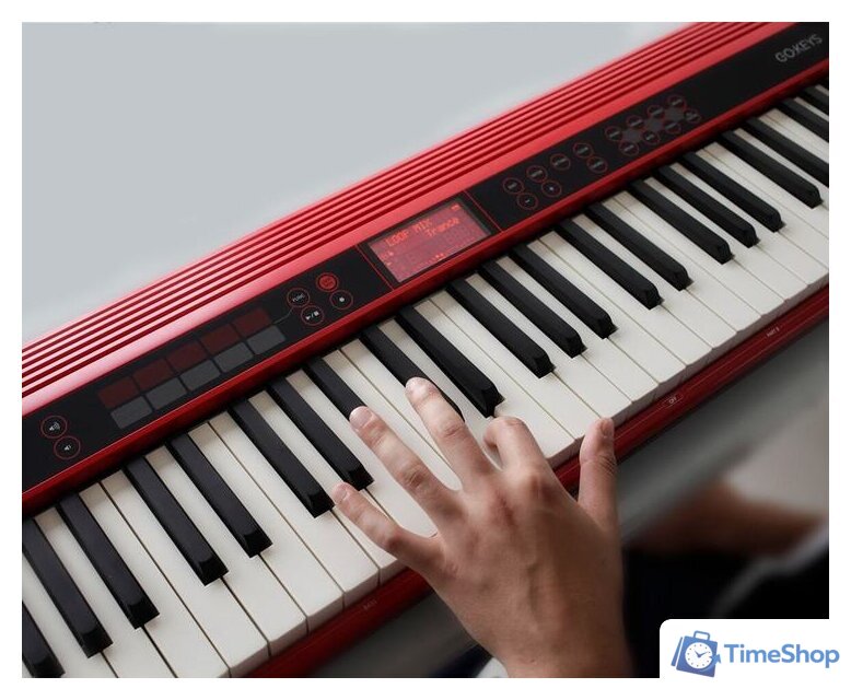 Синтезатор Roland Go:Keys - Изображение №12 — Интернет-магазин Time-Shop