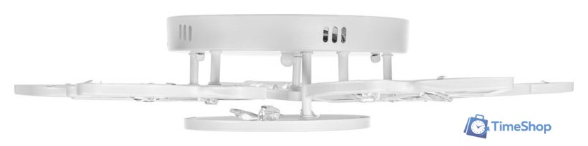 Припотолочная люстра Sundays Home R-40 6327 - Изображение №9 — Интернет-магазин Time-Shop