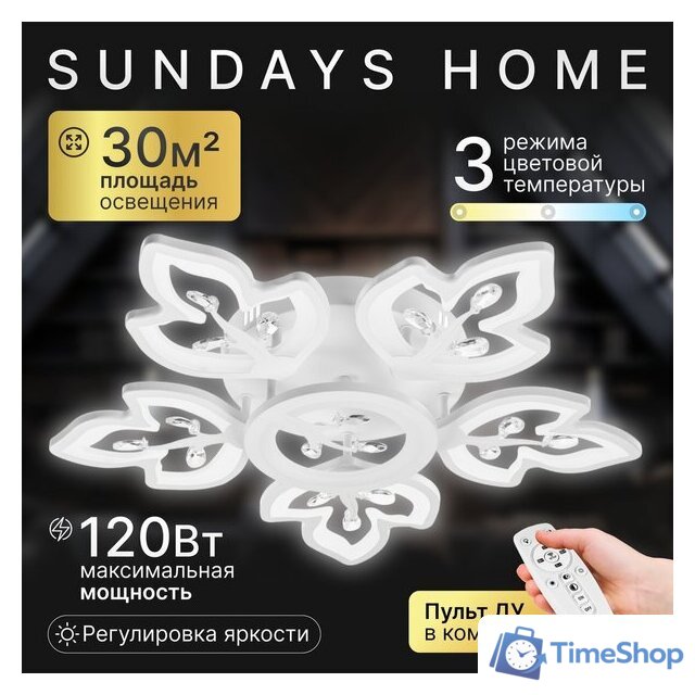 Припотолочная люстра Sundays Home R-40 6327 - Изображение №1 — Интернет-магазин Time-Shop