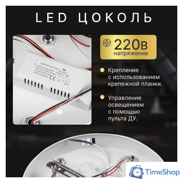 Припотолочная люстра Sundays Home R-40 6327 - Изображение №3 — Интернет-магазин Time-Shop