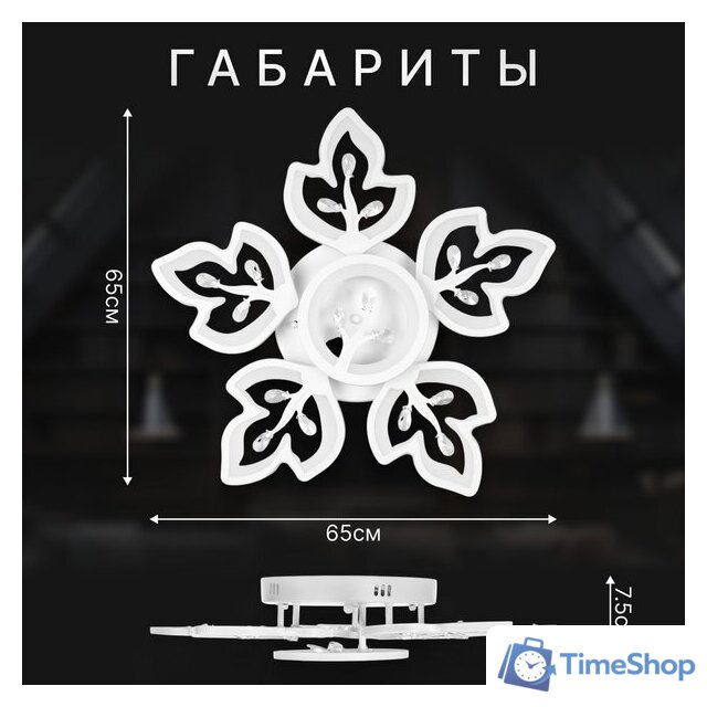 Припотолочная люстра Sundays Home R-40 6327 - Изображение №5 — Интернет-магазин Time-Shop
