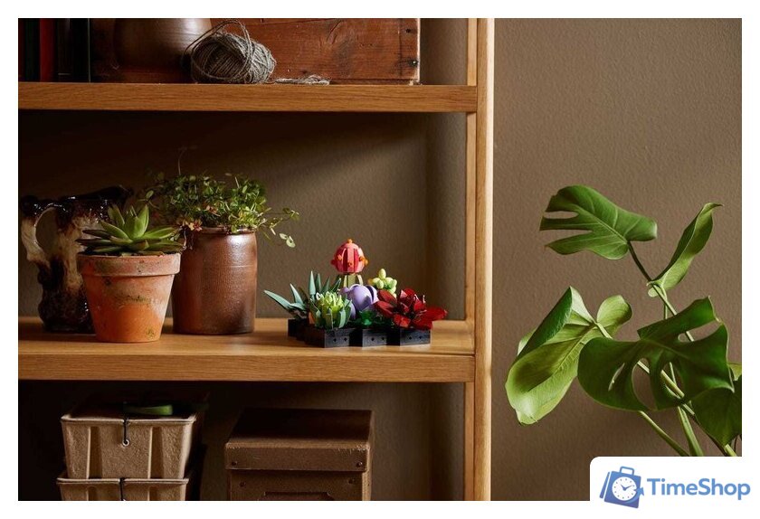 Конструктор LEGO Creator Expert 10309 Суккуленты - Изображение №8 — Интернет-магазин Time-Shop