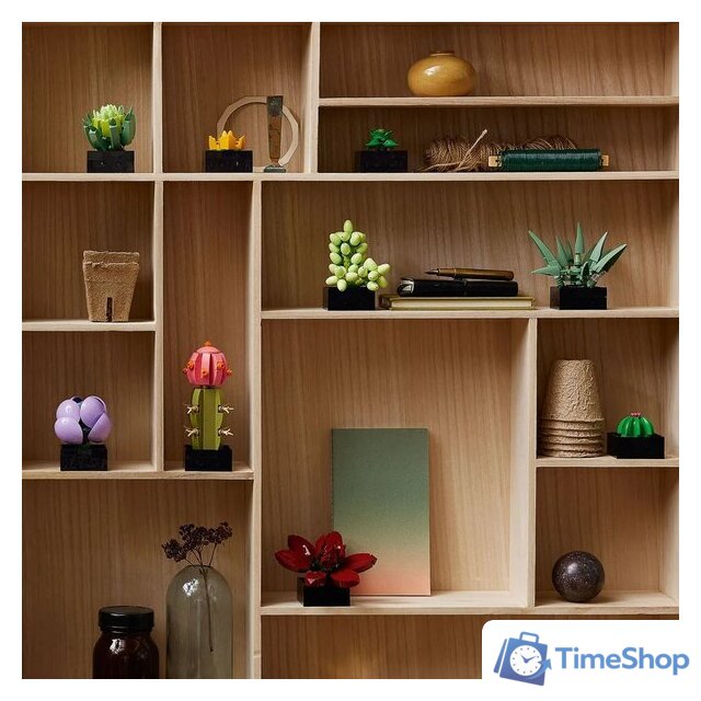 Конструктор LEGO Creator Expert 10309 Суккуленты - Изображение №2 — Интернет-магазин Time-Shop