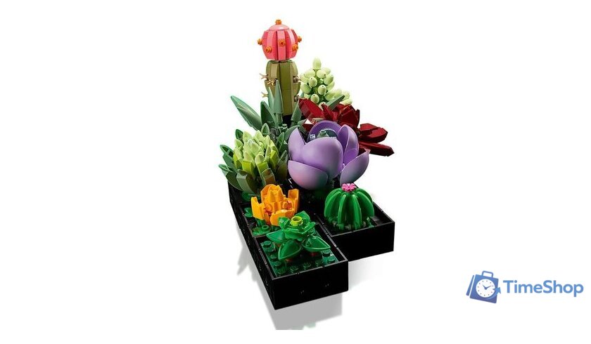 Конструктор LEGO Creator Expert 10309 Суккуленты - Изображение №9 — Интернет-магазин Time-Shop