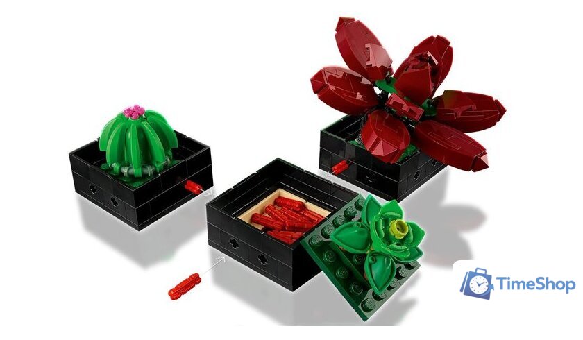 Конструктор LEGO Creator Expert 10309 Суккуленты - Изображение №7 — Интернет-магазин Time-Shop