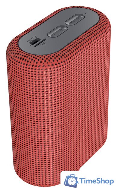 Беспроводная колонка Canyon BSP-4 (красный) - Изображение №2 — Интернет-магазин Time-Shop