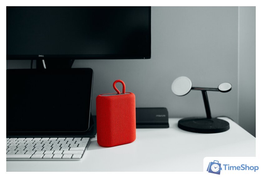 Беспроводная колонка Canyon BSP-4 (красный) - Изображение №11 — Интернет-магазин Time-Shop