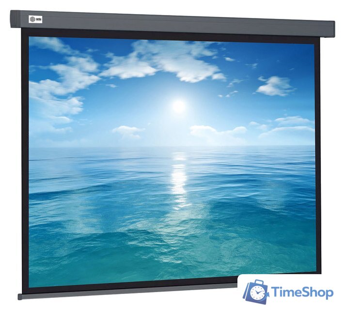 Проекционный экран CACTUS Wallscreen 104x186 CS-PSW-104X186-SG - Изображение №1 — Интернет-магазин Time-Shop